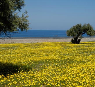 Famagusta Nature